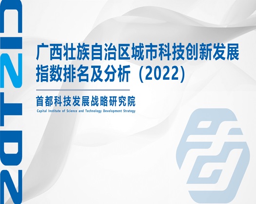 国产办公室操逼视频【成果发布】广西壮族自治区城市科技创新发展指数排名及分析（2022）